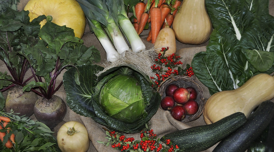Consumption of a High Fiber Diet Stimulates the Production of Health Promoting Short Chain Fatty Acids