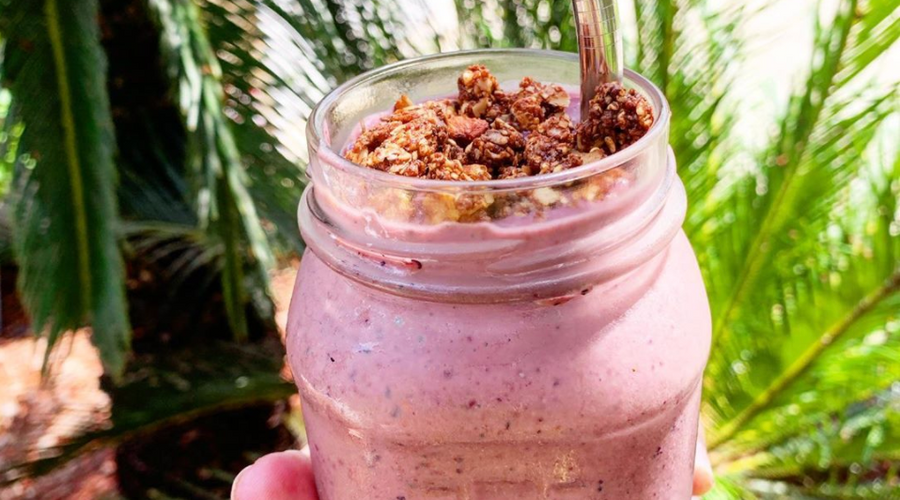 Prebiotic Fiber Blueberry Banana Smoothie