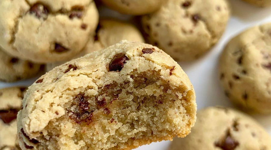Prebiotic-Fiber Chocolate Chip Cookie Snack Bites!