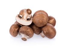 Uplift Food prebiotic fiber supplement breakfast cookies snacks functional mushrooms