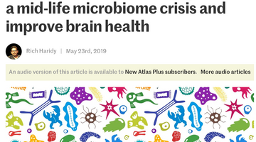 New study shows how prebiotics can improve your microbiome and brain health
