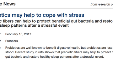 Prebiotics to help cope with stress!